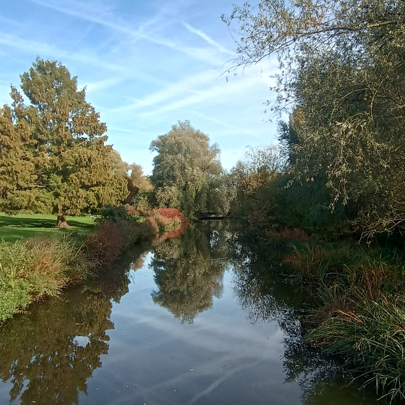 https://culture.ixelles.be/wp-content/uploads/2025/04/cfa58a3fb24744ef43f01d3584c17fe6d40f9820.png