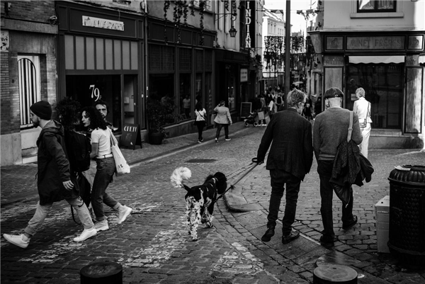 https://culture.ixelles.be/wp-content/uploads/2025/05/1748317409539-301154-43a7f2118780243ab7b6a2f6dd837ec644449489.png