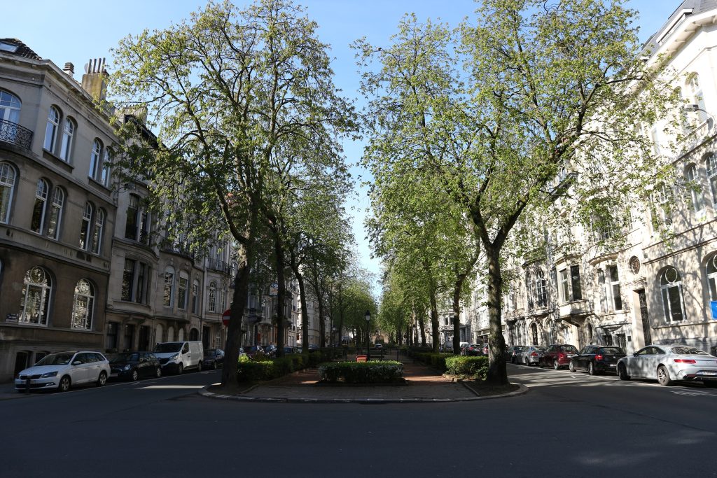 https://culture.ixelles.be/wp-content/uploads/2025/06/813b498af78cd278516158ad1a07cea3fec61d17-1024x683.jpg
